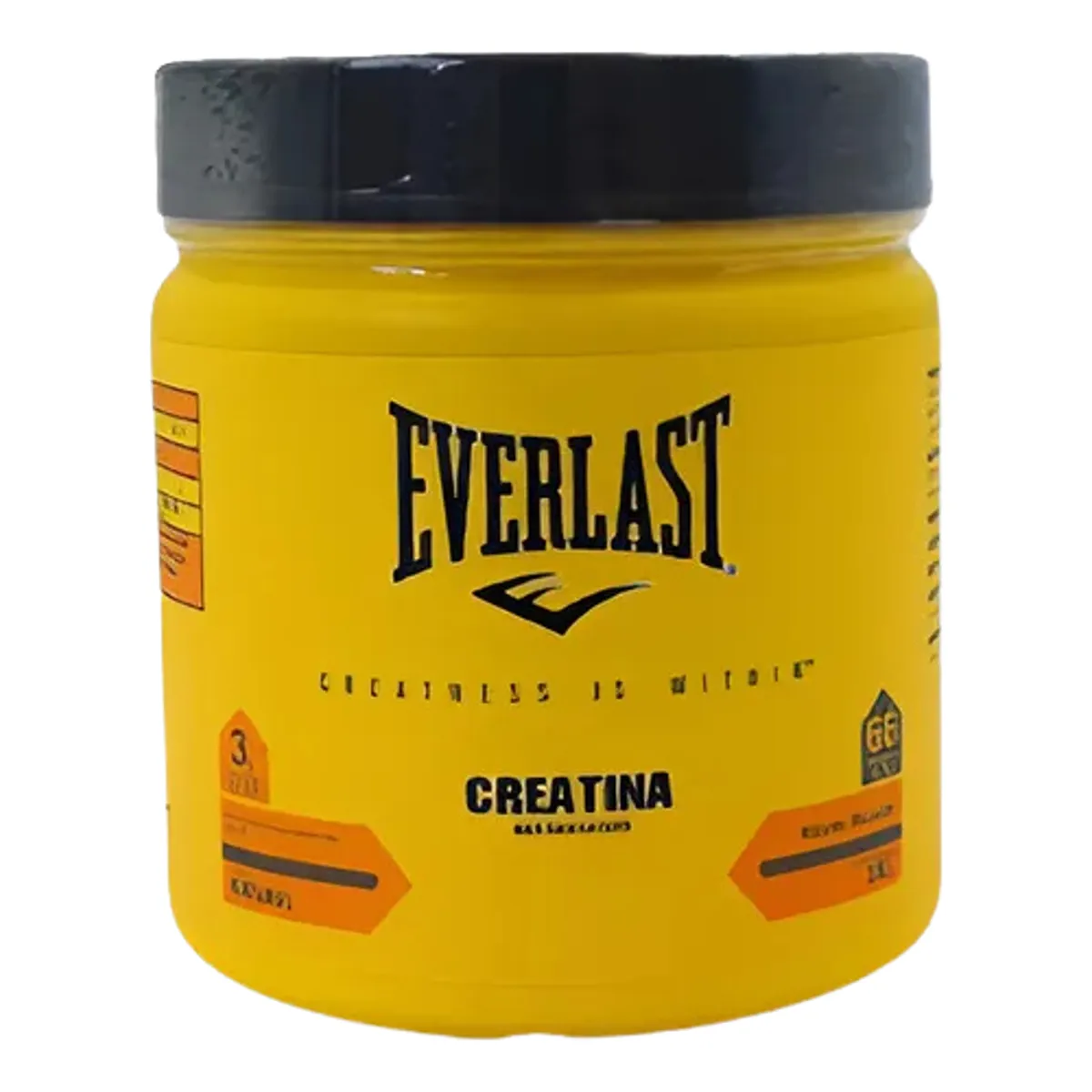 Creatina Monohidratada Everlast 200g